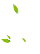 available left leaves